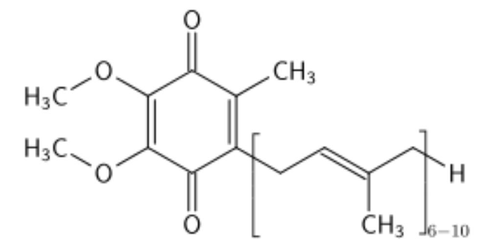 Коэнзим Q10